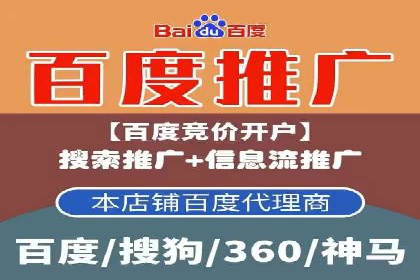 百度竞价排名实战：某行业领先企业的成功之路